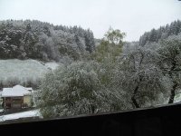 BILD3706.JPG.559bb785aacf77f91babc31c5e538099.JPG