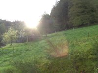 BILD3724.JPG.0c2e4760c44497d150fb022cbba89693.JPG