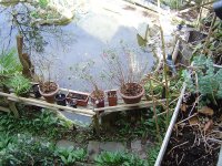 30.4.2016-fuchsien-1.jpg.7c1b4824e7fbcff490af8937e41f4d3d.jpg