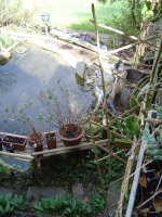30.4.2016-fuchsien-2.jpg.7c9b38fd0ac56541a7caab5dd2c7c041.jpg
