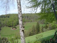 30.4.2016-2.jpg.f0eb97fabcbf016dd0cc2008a5c70d30.jpg