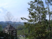 30.4.2016-4.jpg.76980e29de45571ce9c971a773b888eb.jpg