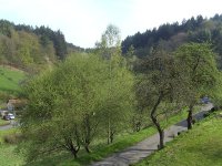 BILD3736.JPG.1626beaf83db167f89621fd4c5790e93.JPG