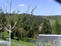 BILD3748.JPG.d350f84bd035a13fbfe197b7ff9f3604.JPG