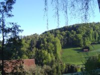 5.5.2016-1.jpg.67dd947a0cbc6a9f7db55b97e1584f83.jpg