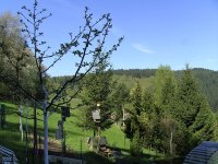 BILD3778.JPG.e5b9ddd293bbe8cb34f970b72d3cdfdd.JPG
