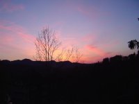 Abendstimmung-7.5.2016-2.jpg.7f2d689ce3429db4ffc9b7d1e5f75d28.jpg