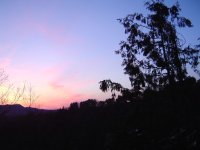 Abendstimmung-7.5.2016-3.jpg.9af583e1f8c725c6ef0ac42a41708623.jpg