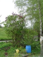 11.5.2016-Gartenrundgang-1.jpg.dca4a25e9cbad0ecdf50da38e63119e3.jpg