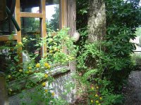11.5.2016-Gartenrundgang-6.jpg.0987065f4b6612e8f458a3ec06bcb562.jpg