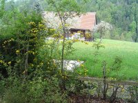 11.5.2016-Gartenrundgang-8.jpg.de226ca224d6f0236f700bfcec167dad.jpg