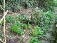 11.5.2016-Gartenrundgang-9.jpg.cf4b4879c6445cae54520f17e62a9047.jpg