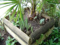 11.5.2016-Gartenrundgang-10.jpg.6f3ea51e9e9d73524b92176b688ca258.jpg