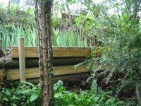 11.5.2016-Gartenrundgang-16.jpg.cda236d0e6b76f77d7f4ae4f3b5108e2.jpg
