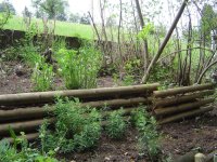 11.5.2016-Gartenrundgang-19.jpg.48f795695cb6ce87066fc05b83ced435.jpg