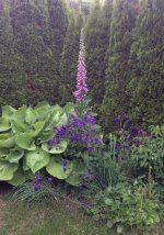 Garten4.jpg.d428b6b57d98afcee431f243e3c58f1d.jpg