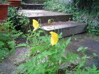 574940aaf2c64_28.5.2016-bltenrundgang-2.jpg.9422608d93931a68e41952331da1d30e.jpg