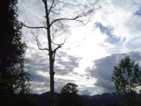 5.6.2016-abendstimmung-1.jpg.e6deca9b104bf44f0530c9bd1bebe049.jpg