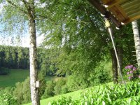 5.6.2016-abendstimmung-7.jpg.75b4dea717fd3541c59e7c5c4256990a.jpg