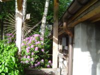 5.6.2016-abendstimmung-9.jpg.f4a23880bfe8e1532088d136c5eb5536.jpg