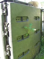 BILD4167.JPG.6716e3df40ec88cca2066b3843d28f32.JPG