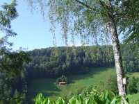 9.6.2016-3.jpg.0a4fc849b7888b6eceaf00900c5095b6.jpg