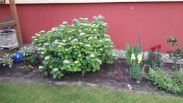 Nordseite-links.jpg.2623f0f39adea7fa7383b956e0a9f9d1.jpg
