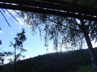18.6.2016-morgen-2.jpg.a8c5102a3ad970b3e37a57cb897c2983.jpg