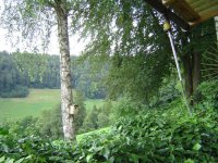 24.7.2016-wetterstimmung-4.jpg.83a0221255b1818af1070a9ce0a17a78.jpg