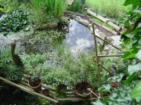 24.7.2016-wetterstimmung-5.jpg.63f4739eb47d49a5c83d49a5732943a3.jpg