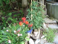 29.7.2016-sitzplatz-17.jpg.89a61291d4f9d583b70edbde95b8f379.jpg