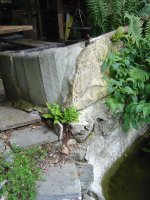 29.7.2016-sitzplatz-18.jpg.5b2c43073e3ff55573f373b0cd070417.jpg