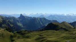 20160907_114250.jpg.65f9be71592413c05fcb76771cd2c7ee.jpg