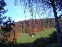 1_11.2016-3.jpg.eb8e5aef0d6d7e92317a08c32ec2bd6a.jpg