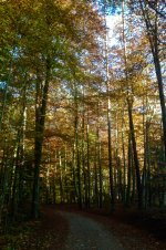 IMG_7640.jpg.56ad1abdbeafd0426ce6daa3075e6986.jpg