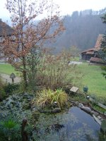 14_11.2016-1.jpg.fb9aea3bf2056d064137c256f6249ebe.jpg