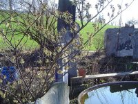 5854537aaebcb_gartenam18Mrz2016-6.jpg.8cc339cc2e026fcd231826e5b4cb61fc.jpg