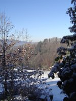 21_12.2016-5.jpg.5d44b29e836568958de2a5981e182390.jpg