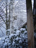 3.1.2017-4.jpg.f4cd8fcb02bcd9d540d48cc68914fbbe.jpg