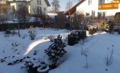 Jan2017.jpg.1ae21d2a90f8988f8b3c0b18e2533eb5.jpg