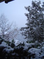 8.1.2017-nebel-1.jpg.8b5a8a89489e07c3507e9bb502963b07.jpg