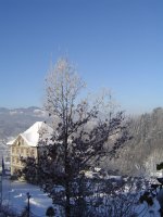 21.1.2017-winterstimmung-4.jpg.f06eb4d81b115971620fa1045c33a8d1.jpg