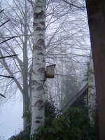 8.2.2017-nebel-4.jpg.d7d940585b95eef230d84f8b9236f45a.jpg