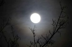 58c3ba8e87664_vollmondam11.3_2017.jpg.53af3531f3ef00e116ef43e24e28b839.jpg