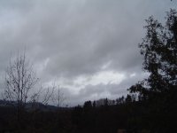 19.3.2017-1.jpg.d7ba6540a72d31edffa755ef42cc1335.jpg