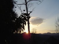 28.3.2017-Abendstimmung-2.jpg.ca807b96d13481eefe6edec84aed6d33.jpg