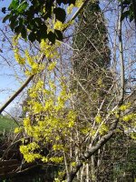58dcbf399e4f7_30.3.2017-frhling-4.jpg.d1decd73a9c7cc0dd38bd3b4f27c84eb.jpg