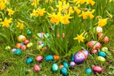 garten-deko-ideen-ostern-narzissen-schoko-eier.jpg.102361560f0073ce9f85b5f91e7e9a99.jpg