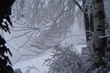 64399_440861152669007_1734143083_n.jpg.fe35128047cd5daf8243a93108913e72.jpg
