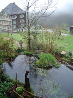 26.4.2017-2.jpg.2f30990dafcd698e19a99c24f073238f.jpg